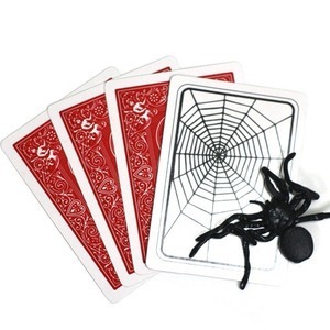[더웹] The Web(거미카드) 카드속의 거미그림이 실제거미로 나타납니다.   (partyn)